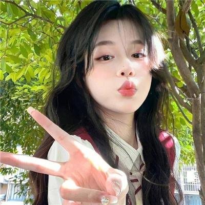 海龟故事